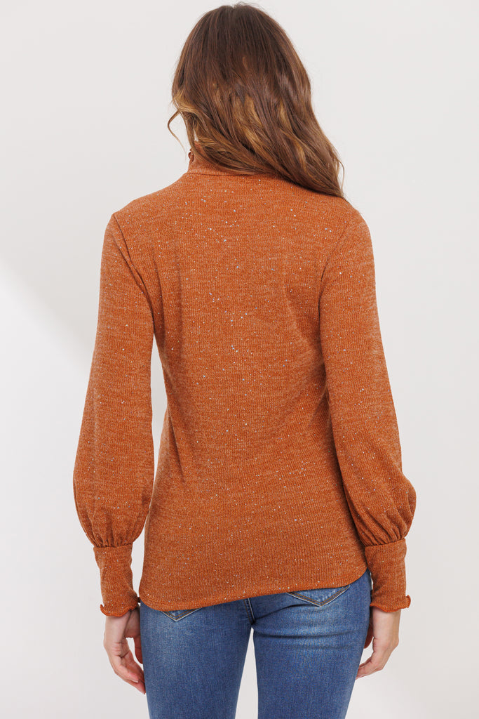 Rust Turtle Neck Long Sleeve Sequin Maternity Top